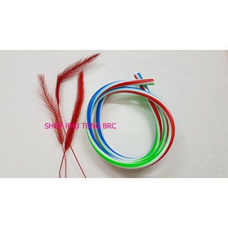 Ống xăng màu xe máy
