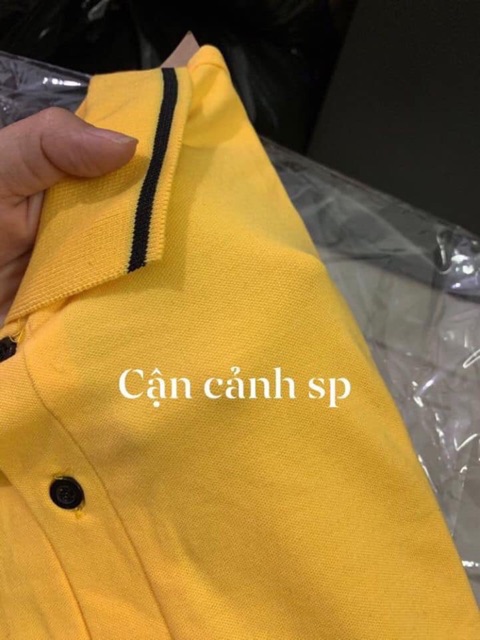 ÁO POLO NAM CỔ PHỐI VIỀN CÓ 5 MÀU