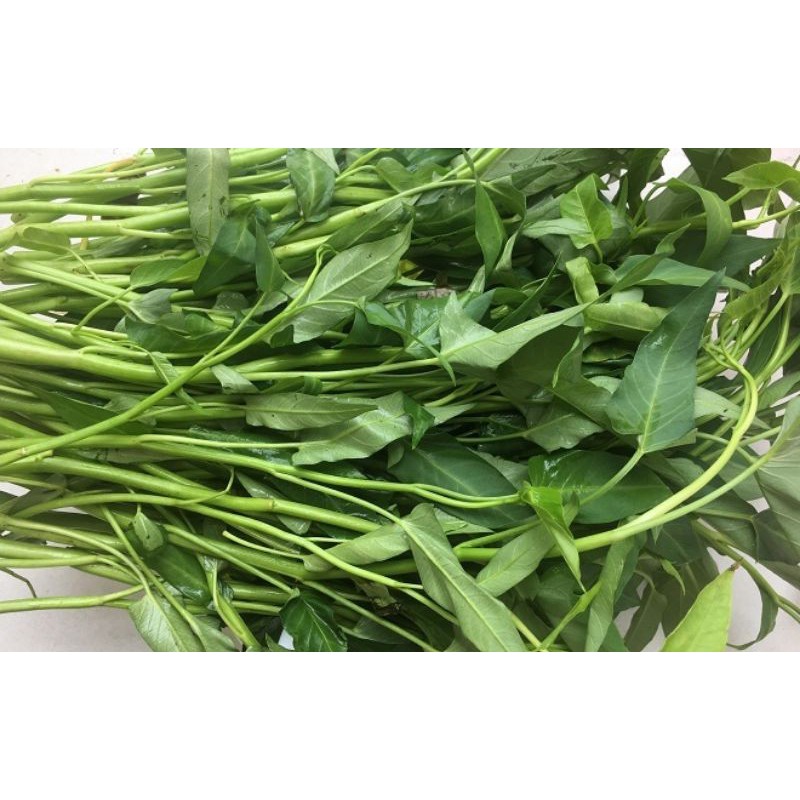 rau muống 1 bó nhặt sẵn (500gram)