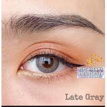 Lens Late Gray