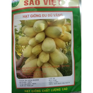 Hạt giống đu đủ vàng