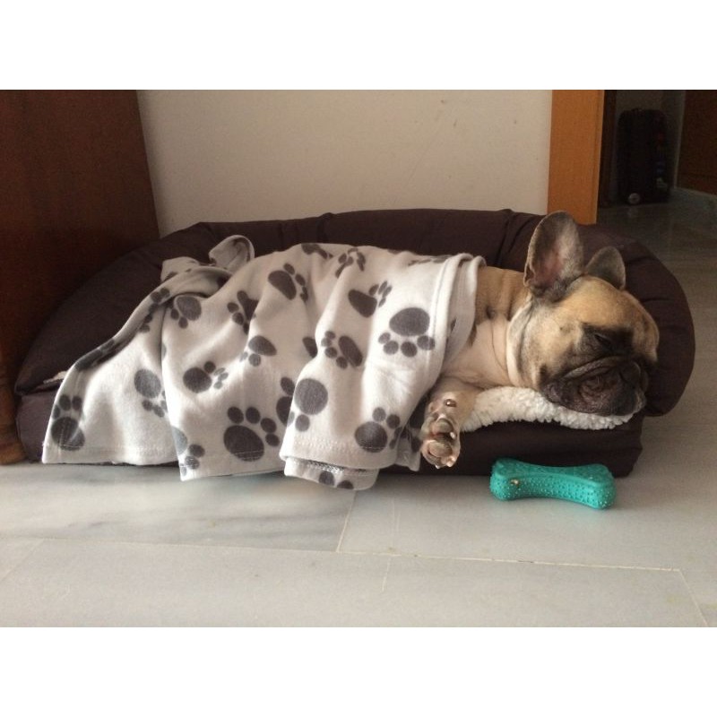 Pawty Chăn lông cừu cao cấp cho chó mèo/thú cưng