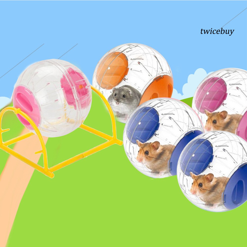 Bộ Đồ Chơi Bánh Xe Trong Suốt Cho Chuột Hamster