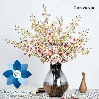 Hoa Lụa Để Bàn 🌺FREESHIP🌺 Hoa Lan Cò Cao Su