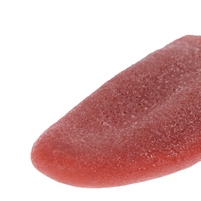 Set 2 lưỡi giả làm ảo thuật vui nhộn