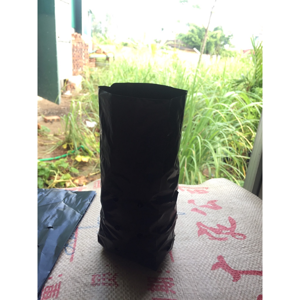 1KG TÚI ƯƠM CÂY MÃ 7*24 ( KÍCH RỄ, MẦM CÂY XANH LÁ, DỊCH TRUYỀN CHO CÂY, BẠT CỎ...)