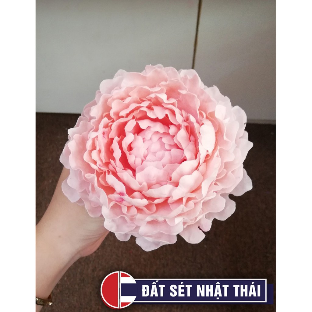 MÀU PHẤN TIÊN VẼ ĐẤT SÉT NHẬT, HOA GIẤY, HOA ĐẤT, BÚP BÊ, NHUỘM TÓC SIÊU ĐẸP - MASTER PASTEL 12 COLORS-- rẻ lắm nè