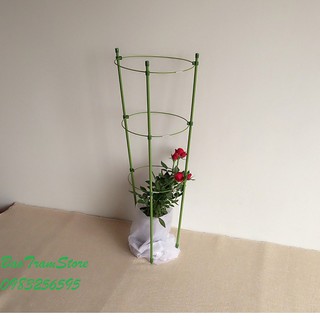 [HOT] Giá đỡ hoa hồng, hoa leo đa năng kích thước cao 90cm, đường kính 3 vòng tròn 25cm