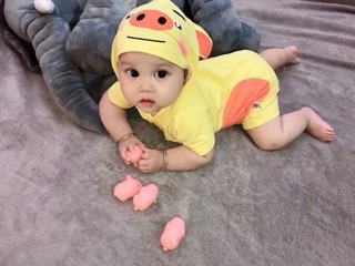 Body thú cưng cho bé yêu