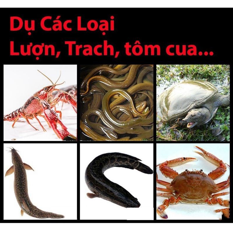 Mồi dụ tôm, cua, lươn, cá siêu nhạy dạng viên gói cực nhạy