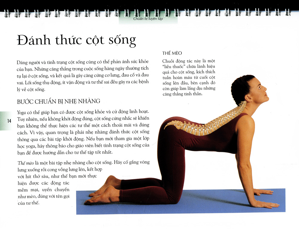 Sách Yoga Cho Sức Khỏe Vững Bền