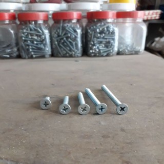 Vít sắt bắt tacke nhựa(100gr)