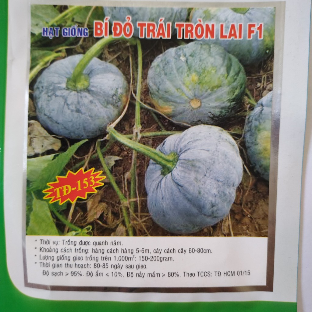 Hạt giống BÓ ĐỎ TRÁI TRÒN LAI F1