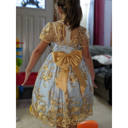 NNJXD Đầm kiểu công chúa hóa tiết ren thêu hoa mặc khi đi tiệc trang trọng cho bé gái