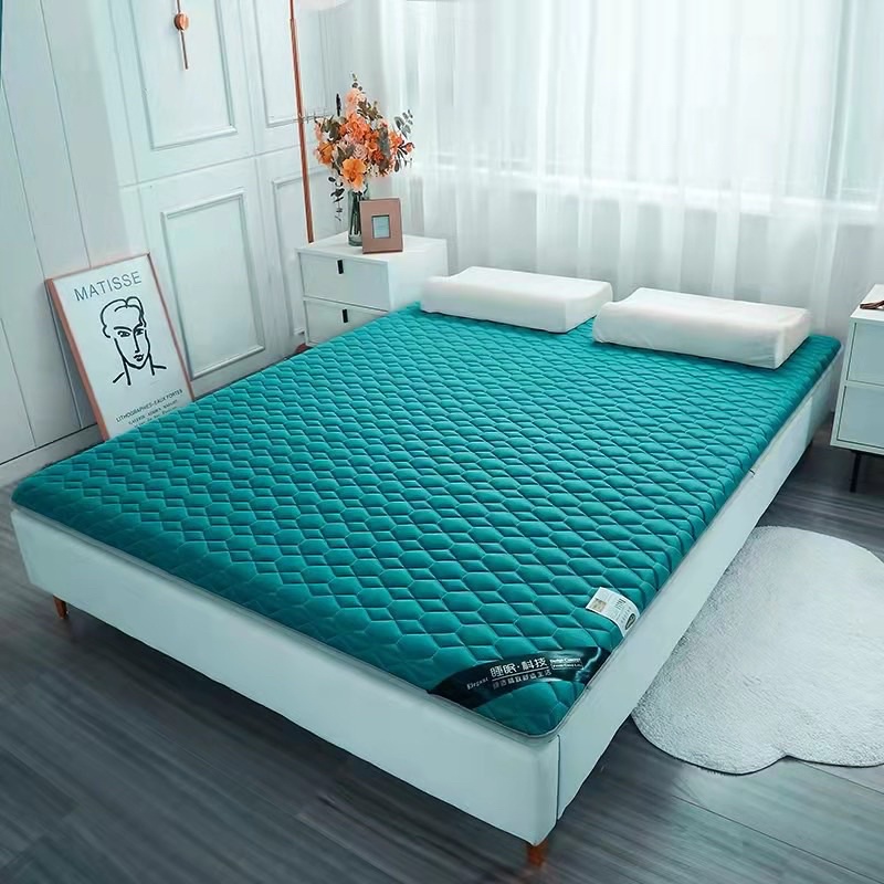 Đệm , nệm thảo dược Natural hương ngải cứu chống muỗi hàng nhập khẩu cao cấp