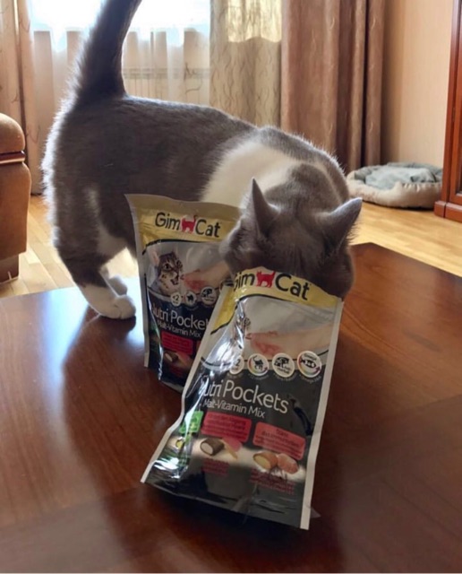 [𝐆𝐢𝐚́ 𝐡𝐮𝐲̉ 𝐝𝐢𝐞̣̂𝐭] Gimcat gói treat Nutri pockets cho Mèo tăng hệ miễn dịch, giảm búi lông, tốt cho da và lông