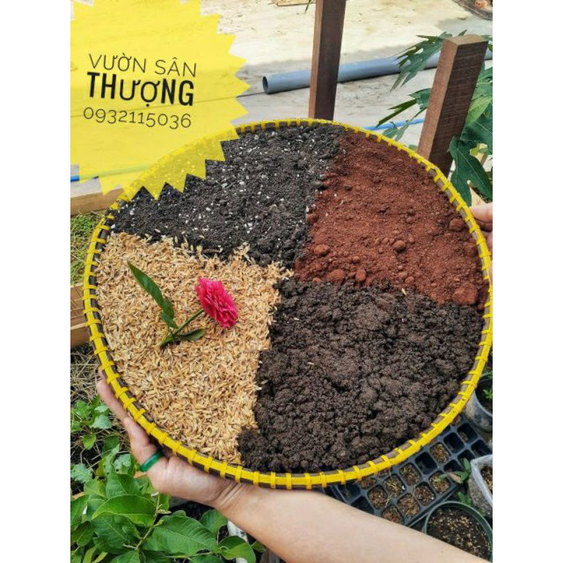 2kg Đất Trồng Dâu Chịu Nhiệt Đã Trộn Sẵn Đất Đỏ, Compost, Phân Trùn, Trichoderma, Phân Nhật,... Trồng Ngay