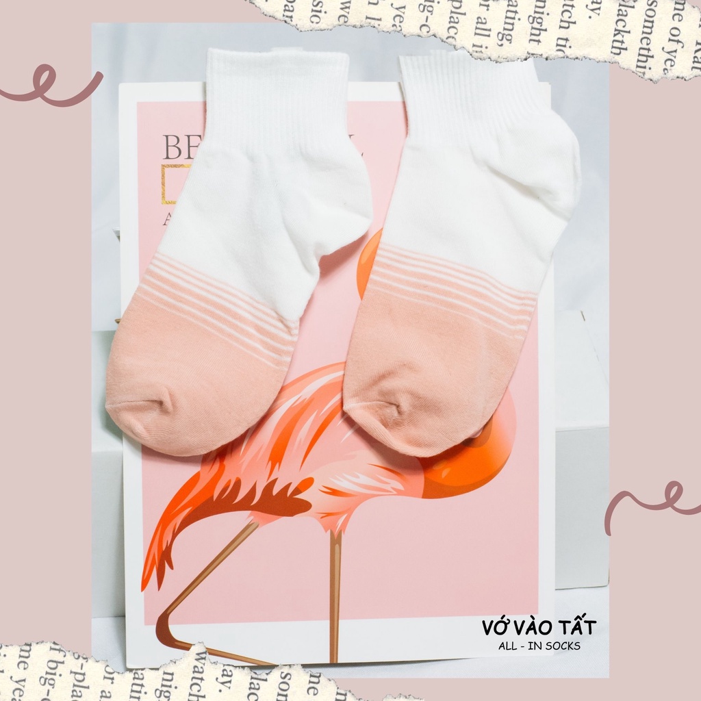 TẤT VỚ CỔ NGẮN NỮ HỒNG XINH XẮN