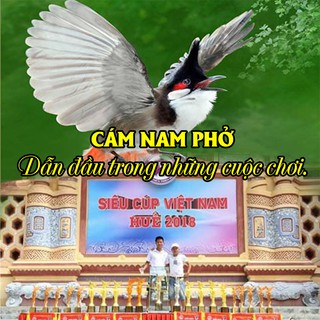Cám Chim Nam Phở, Chim Bền, Căng Lửa