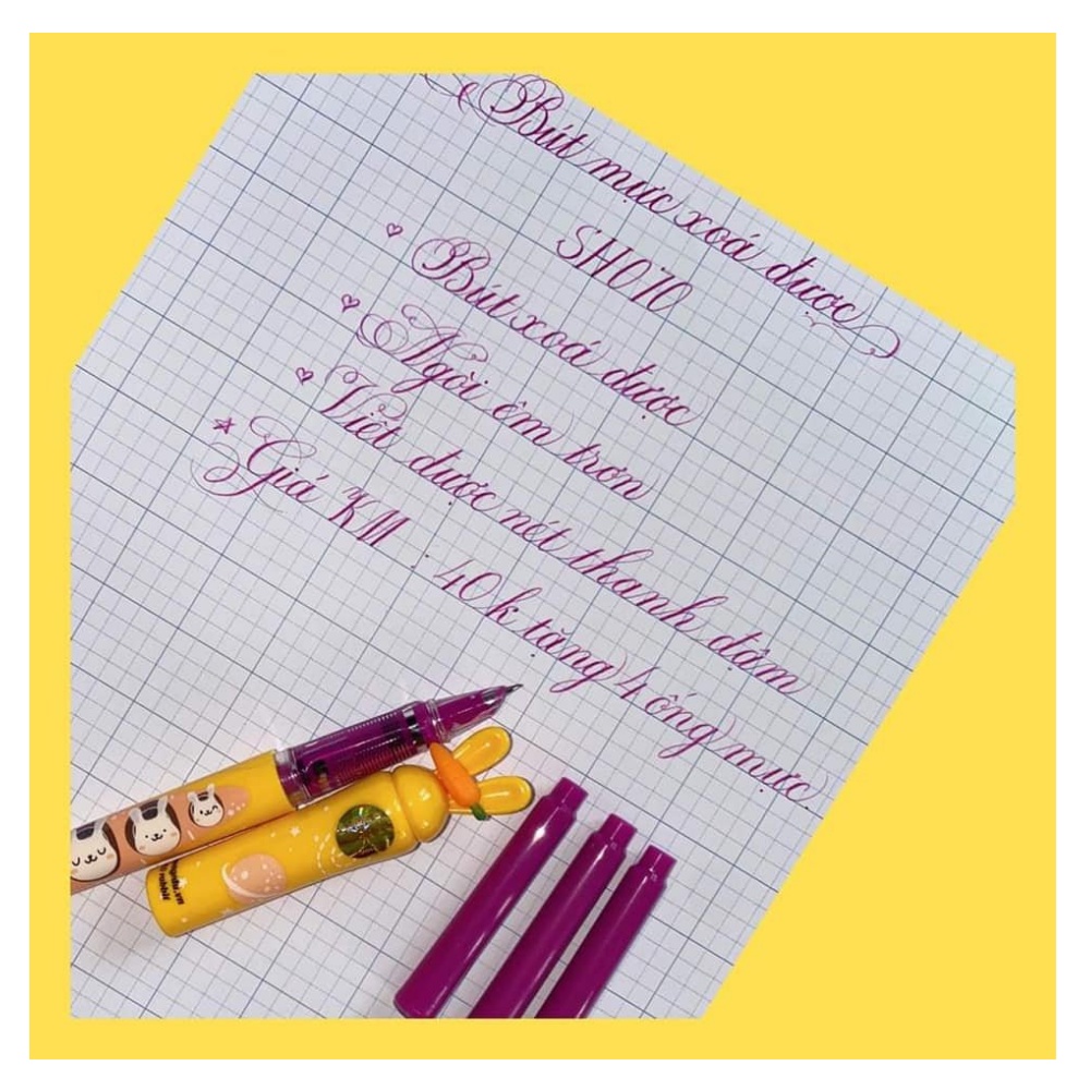 Bút mài thầy Ánh SH070 xóa được ngòi êm luyện chữ đẹp thanh đậm