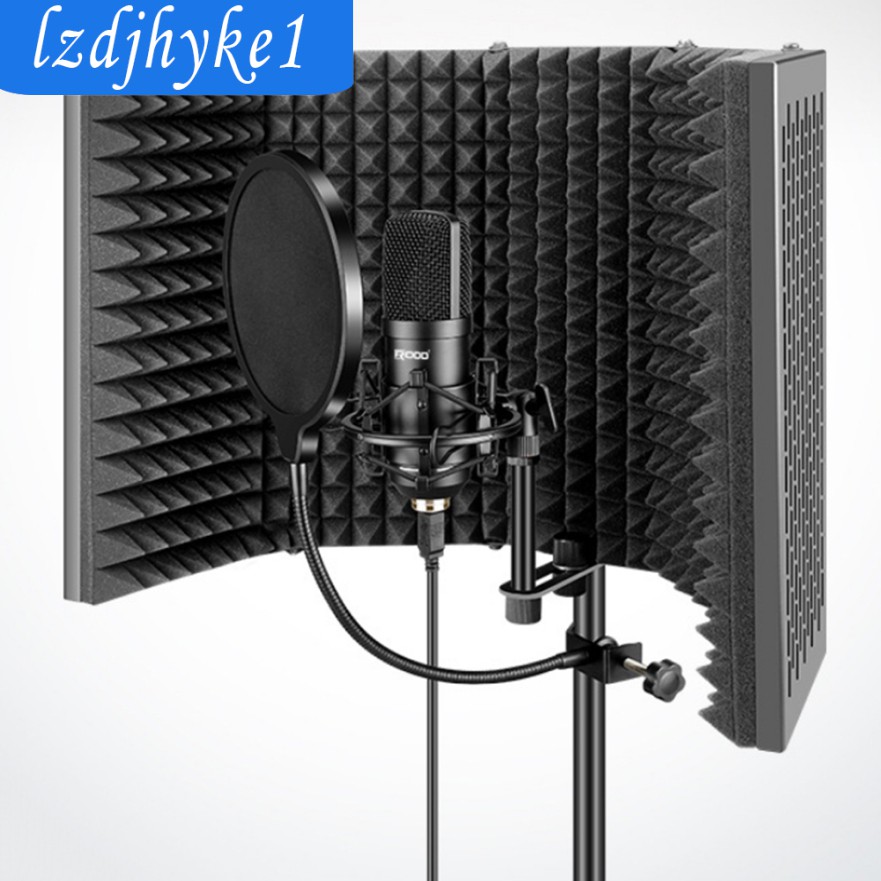 Mic Thu Âm Chuyên Nghiệp