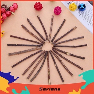 SET 5 QUE GỖ CATNIP BẠC HÀ CHO MÈO