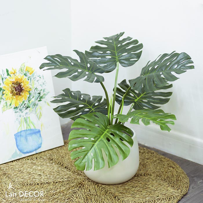 💥 Cây giả - Cây lá xẻ monstera, cây trầu bà Nam Mỹ để bàn, trang trí nhà đẹp LanDecor
