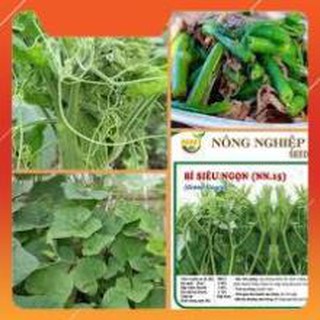 HẠT GIỐNG BÍ SIÊU NGỌN THÂN MẬP GÓI 20 GRAM