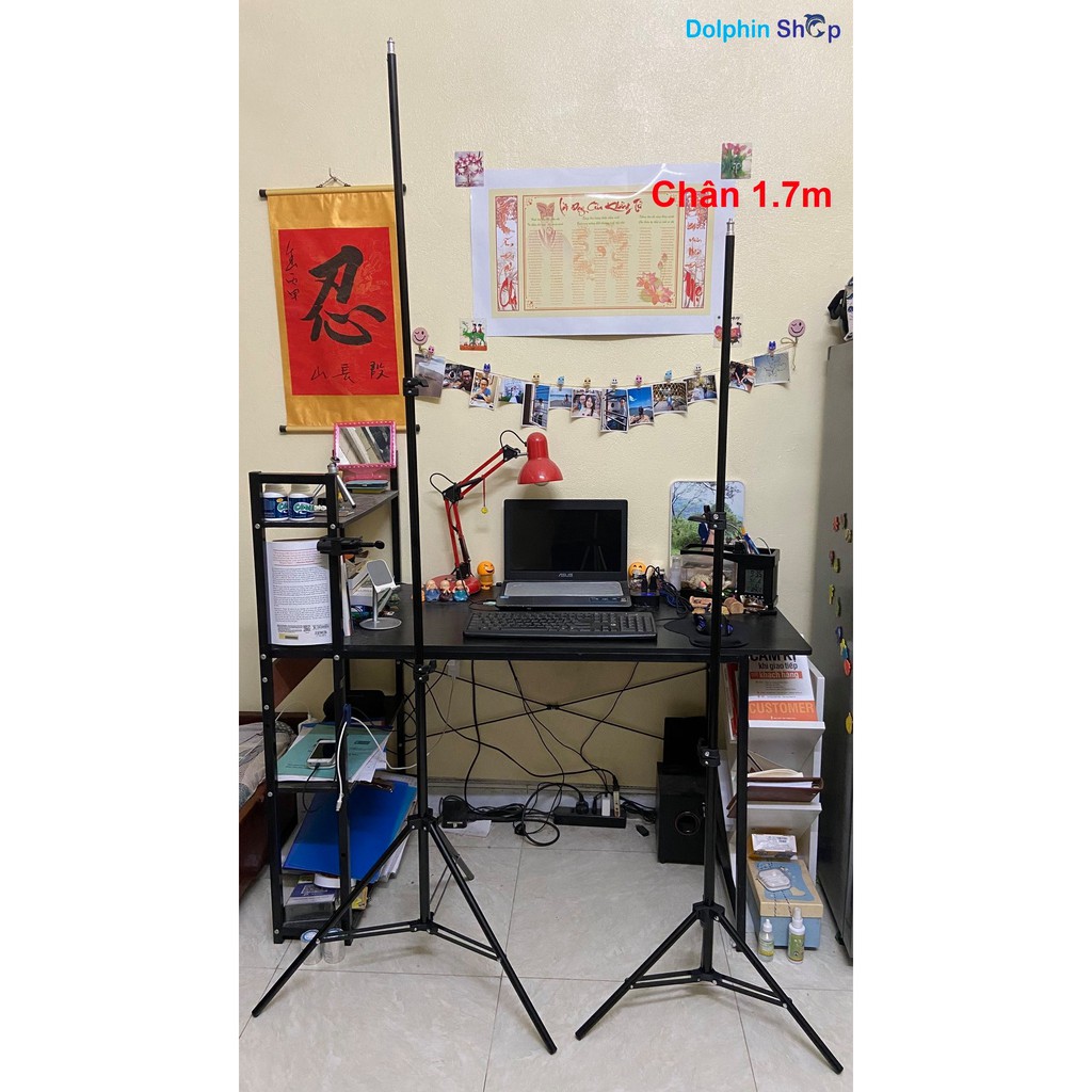 [Có Clip] Chân Đèn Studio, Chân Đèn Flash Cho Chụp Ảnh, Quay Phim, Chân Đèn Livestream