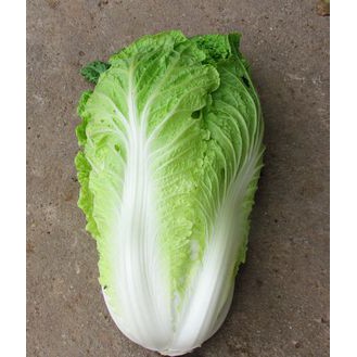 Hạt Giống Cải Thảo Thái Lan Năng Suất, Giòn, Ngọt, Giàu Dinh Dưỡng Gói 500-700 hạt