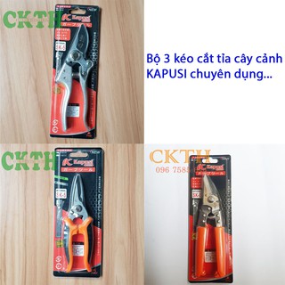 Bộ 3 Kéo Cắt cành,Kéo Tỉa Cây Cảnh KAPUSI Chuyên Dụng