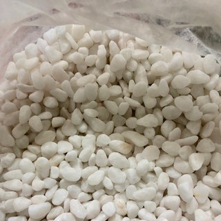 SỎI TRẮNG TRANG TRÍ ( 2kg)