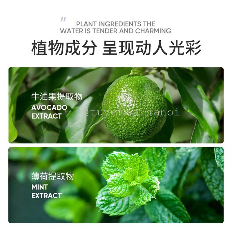 [N124] Mặt nạ trái Bơ Zozu cao cấp, Mặt Nạ Nội Địa Trung dưỡng ẩm làm mịn da Avocado Tender Hydrating Mask