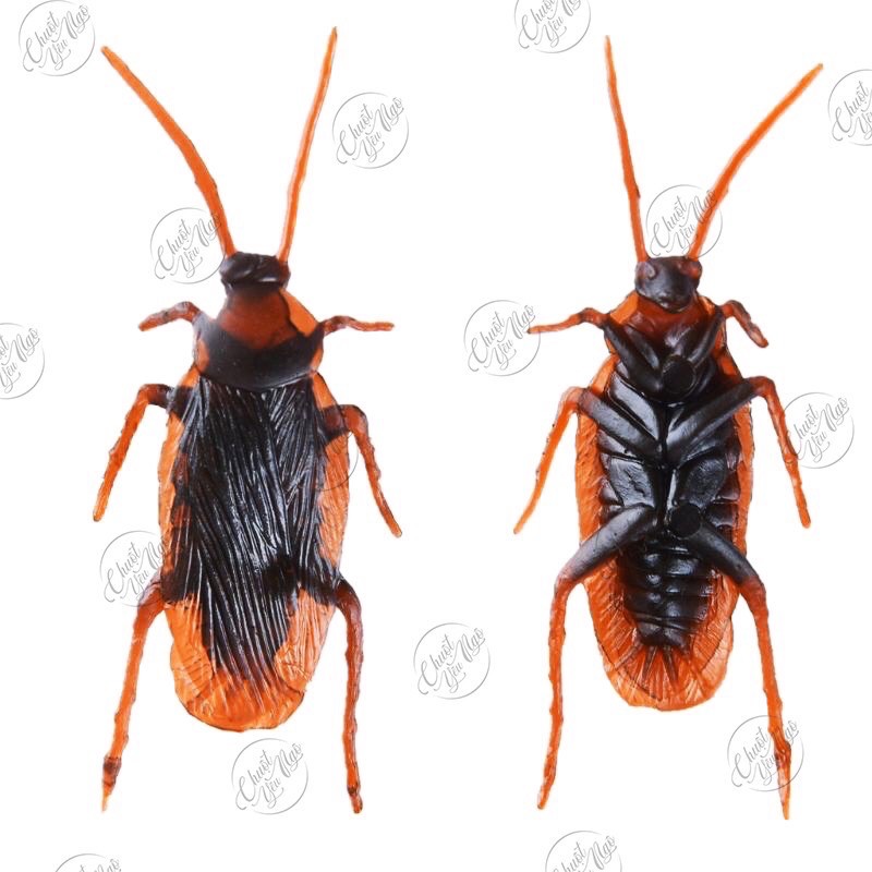 Combo 10 con gián giả nhựa dẻo để troll bạn bè, làm đồ chơi cho chó mèo hoặc làm mồi câu cá NT 16