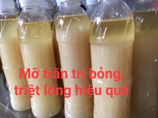 MỠ TRĂN _100ml