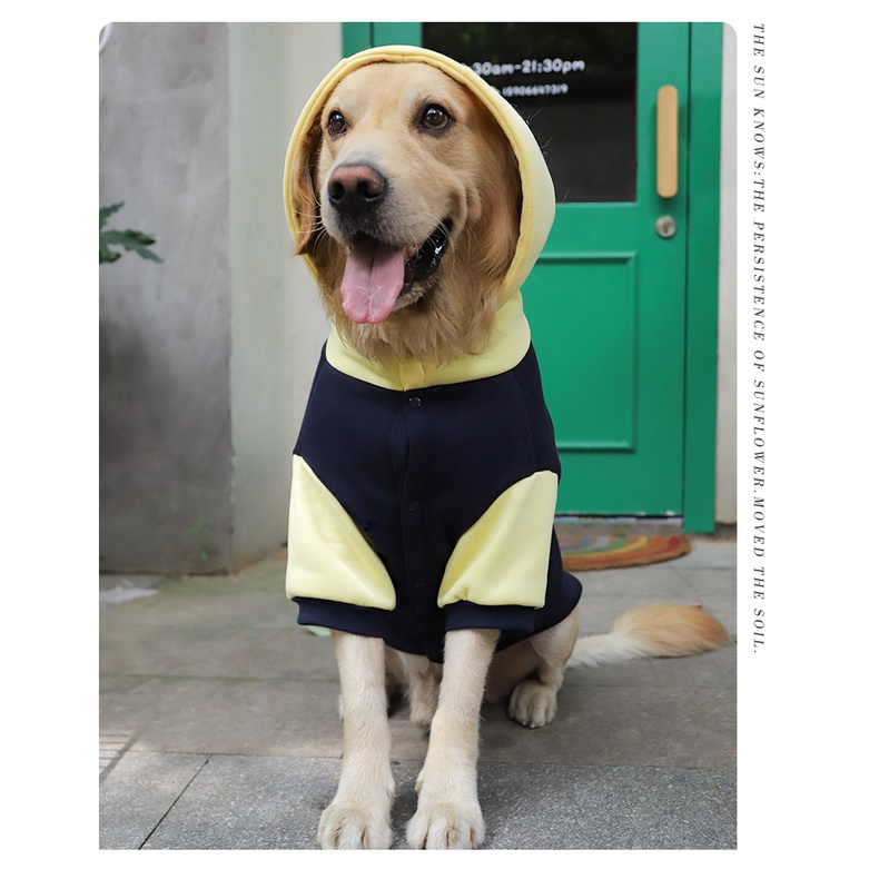 áo nỉ hoodie cho chó lớn có nón và túi