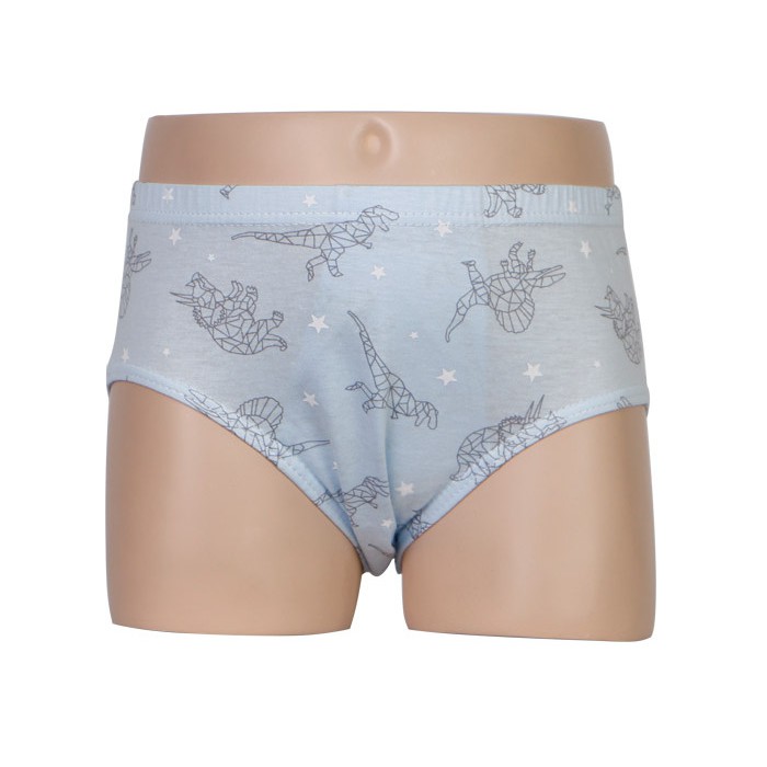 Hộp 5 quần lót bé trai Hàn Quốc 100% cotton mẫu Máy Bay-Khủng Long