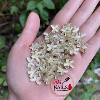 Charm đính móng tay buom cánh tròn ( giá 1 chiếc)