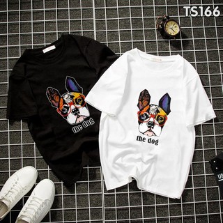 Áo thun chó PUG - Áo cho PUG đẹp nhất