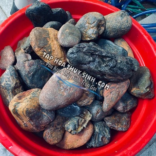 SỎI CỘI VÂN MÂY- CỘI SUỐI 1KG