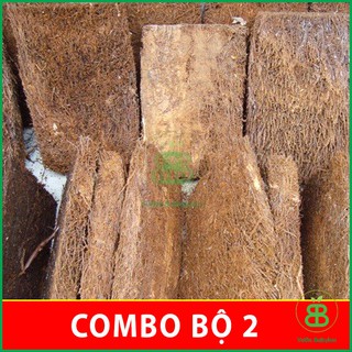 Combo 2 Dớn Bảng , Trồng, Ươm, Chiết Lan Đã Qua Xử Lý - Set 2 Tấm
