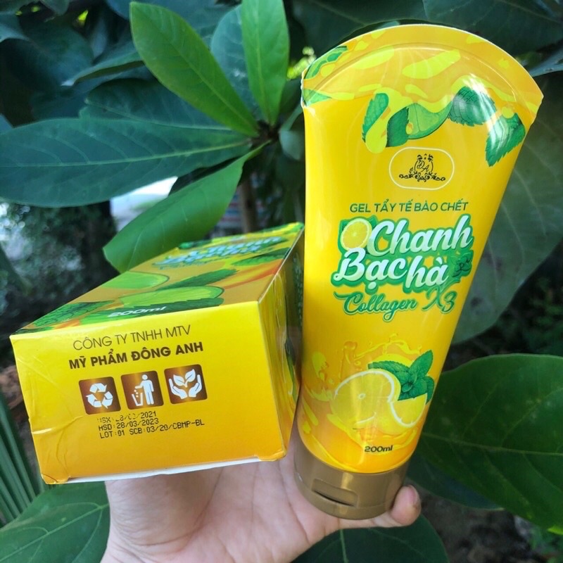 Tẩy tế bào chết chanh bạc hà collagen x3 Đông Anh | BigBuy360 - bigbuy360.vn