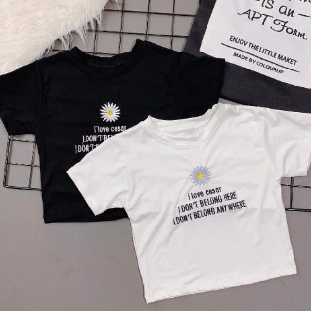 Áo croptop, áo kiểu, áo nữ, áo uzzlang, áo croptop tay ngắn, áo croptop uzzlang, áo kiểu uzzlang, áo