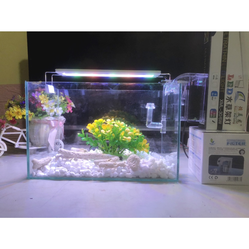 Hồ cá, bể cá cảnh thủy sinh FULL COMBO 6 món phụ kiện D32 R20 H20