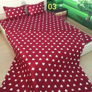 Bộ ga chun poly ko bai không xù may đủ kích thước chuẩn đẹp