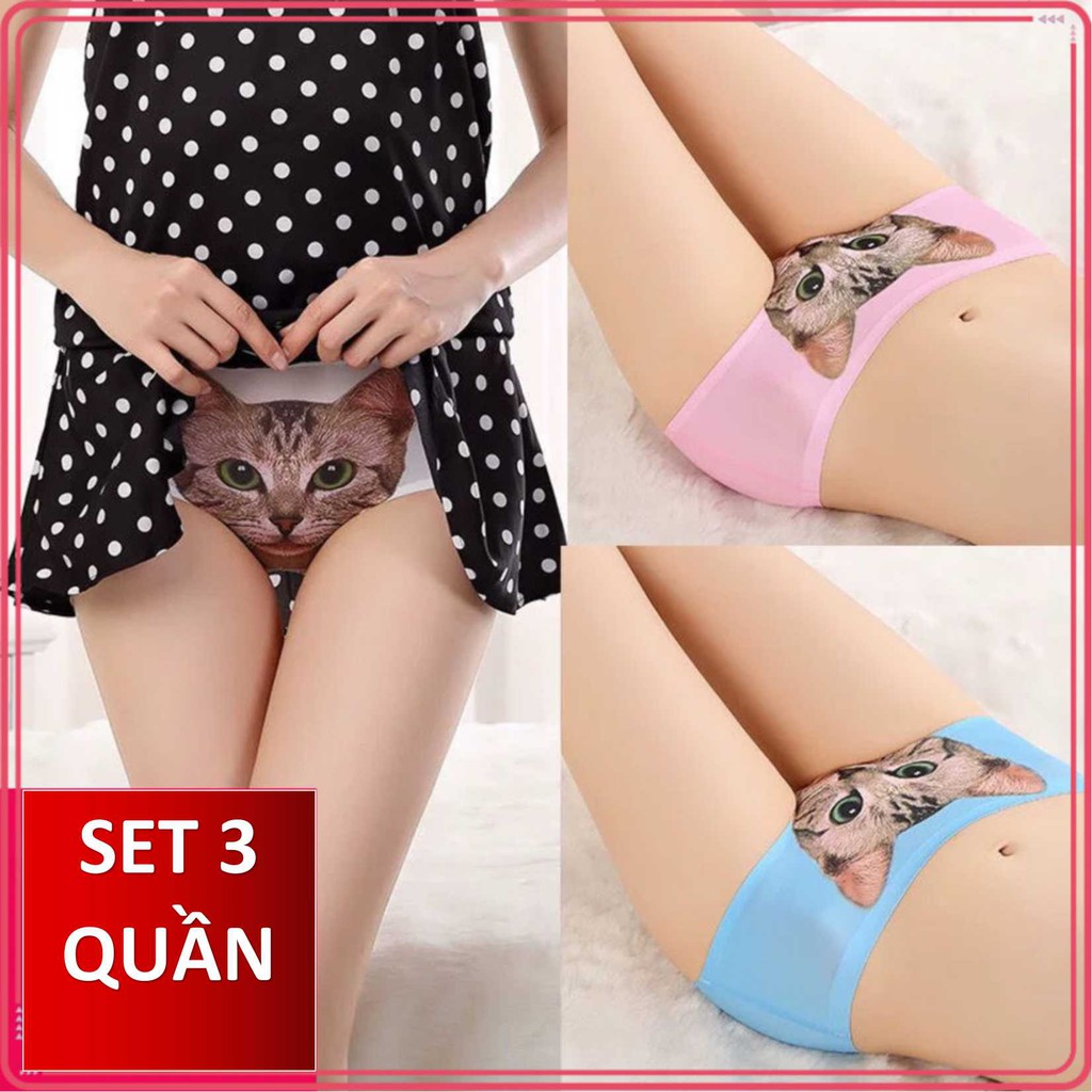 Set 3 Quần Lót Nữ In Hình Mèo 3d Quyến Rũ