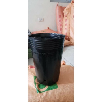 Chậu sầu riêng  , .