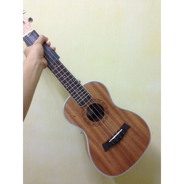 ukulele andrew concert