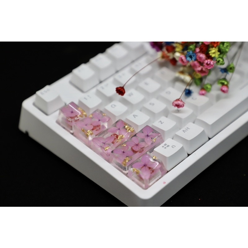 Nút bàn phím cơ phím cách keycap spacebar