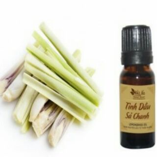 Combo đèn xông tinh dầu và tinh dầu sả chanh
